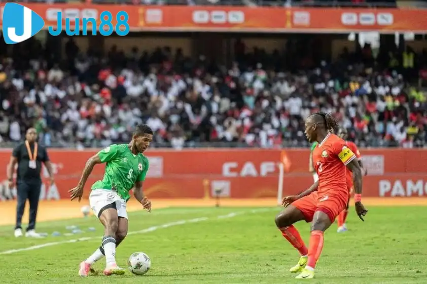 Paro được đánh giá cao hơn rất nhiều Paro được đánh giá cao hơn rất nhiều